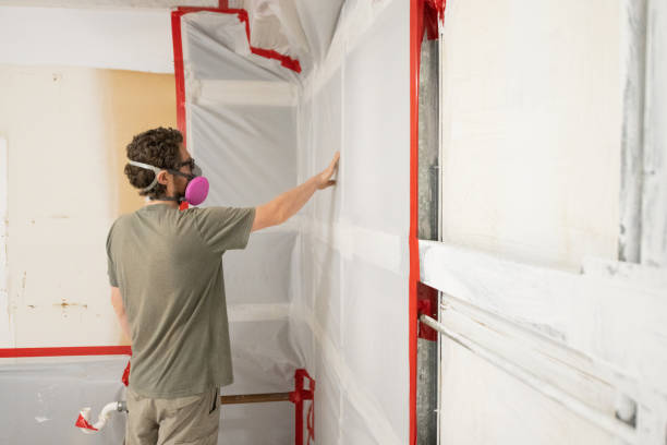Forensic Mold Investigation in Kerman, CA