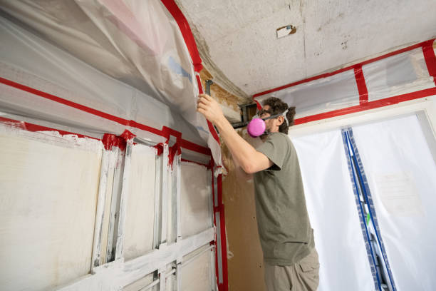Best Attic Mold Removal  in Kerman, CA