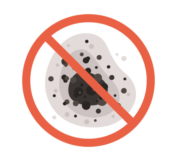 Best Mold Removal for HVAC Installations  in Kerman, CA