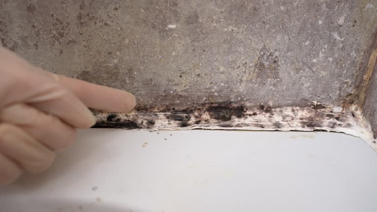 Best Asbestos and Lead Testing During Mold Inspection  in Kerman, CA