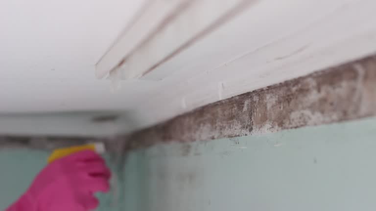 Best Dehumidification Services  in Kerman, CA